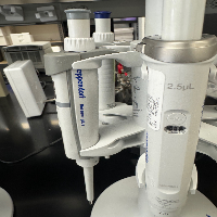 Eppendorf Single Channel Pipettes - Quantity 5 image 1